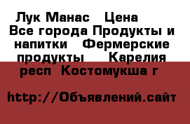 Лук Манас › Цена ­ 8 - Все города Продукты и напитки » Фермерские продукты   . Карелия респ.,Костомукша г.